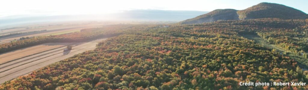 Une année record pour Mont-Saint-Hilaire en matière de protection de milieux naturels et d’acquisitions!